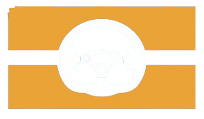 Passport.GP